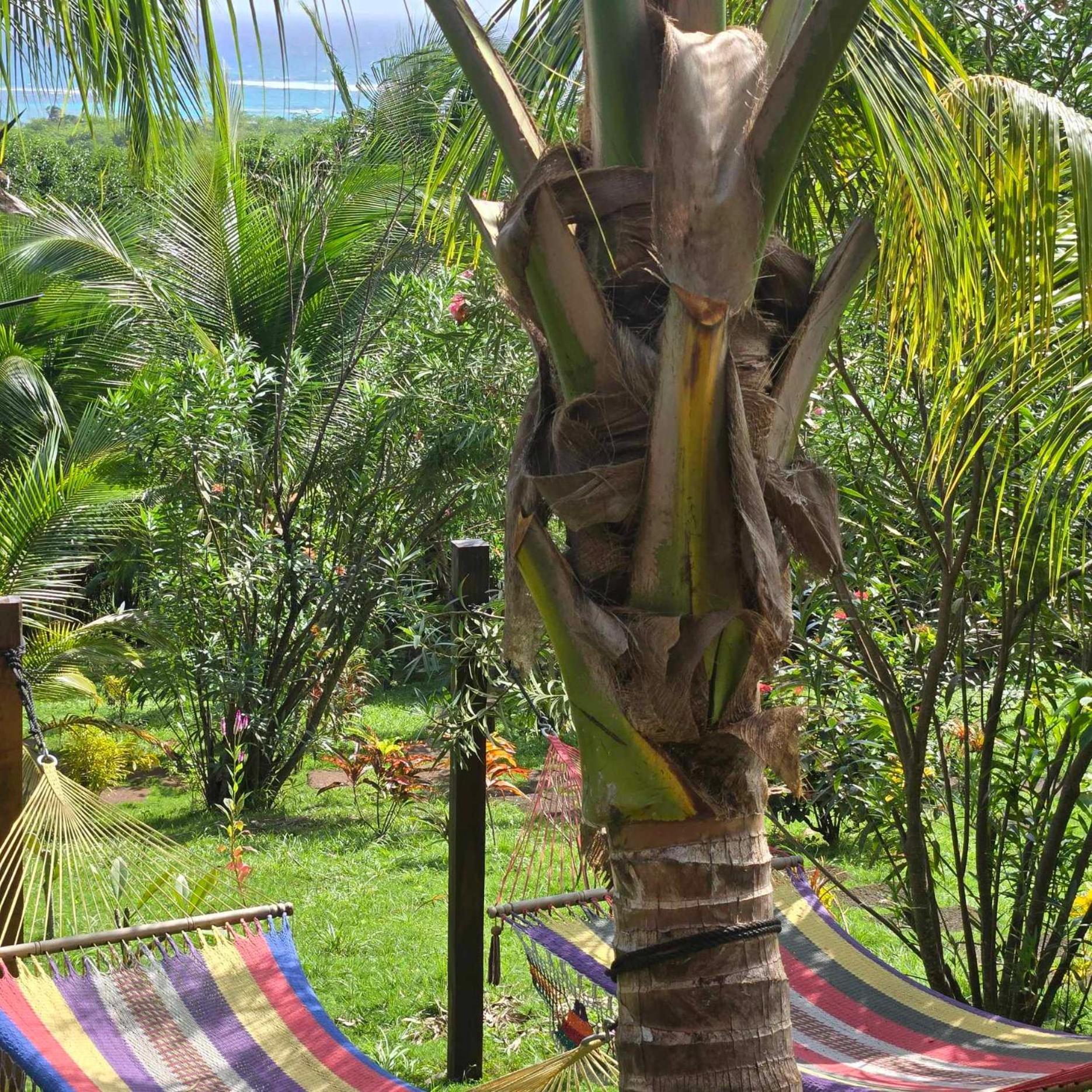The Lighthouse Retreat, Little Corn Island, Nicaragua Hotel Exterior photo